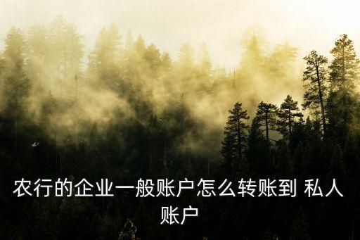 农业银行私人转对公怎么转