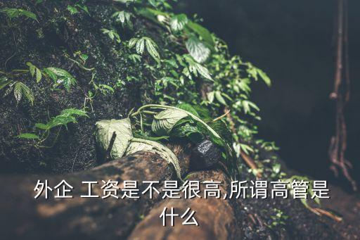 农业外企怎么样工资高吗,广州的外企工资大概怎么样
