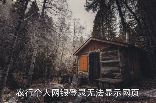 农业银行网站打不开怎么调