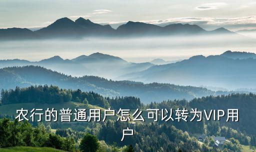 农业银行怎么升vip