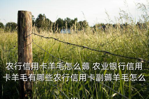 森雅农业返现怎么领的