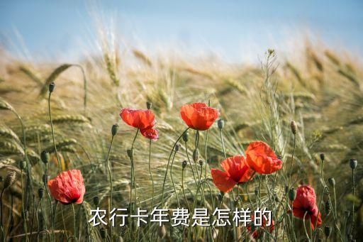 农业银行怎么有服务费用