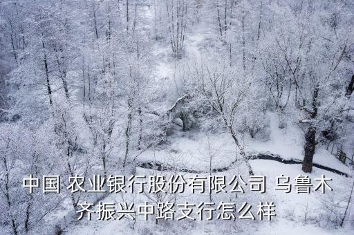 乌鲁木齐农业银行怎么样