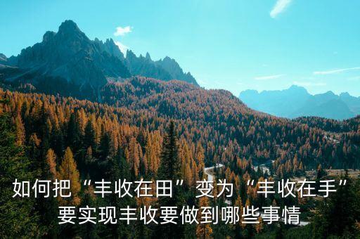 在农民手中怎么做好农业