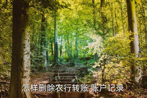 农业银行怎么隐藏账户明细