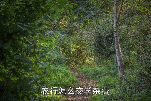 农业银行保教费怎么交