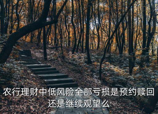 农业银行基金怎么玩的