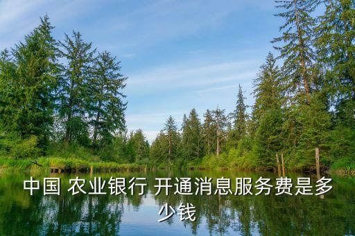 农业银行开通微信怎么收费