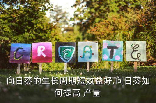 农业上怎么增加产量,农业产量增加的原因