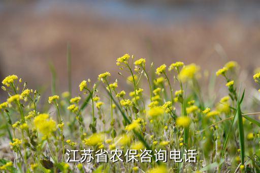 江苏农业保险怎么查,2014年江苏农业保险收入