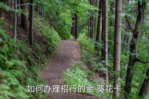 农业银行金葵花怎么领