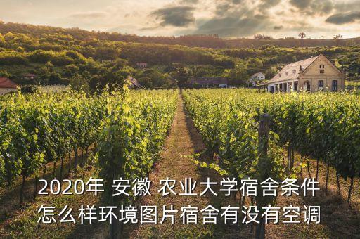 安徽农业大学寝室怎么分配,研究生住宿条件怎么样