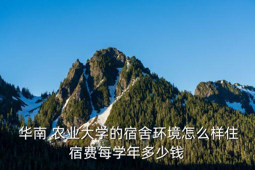 华南农业大学怎么存钱