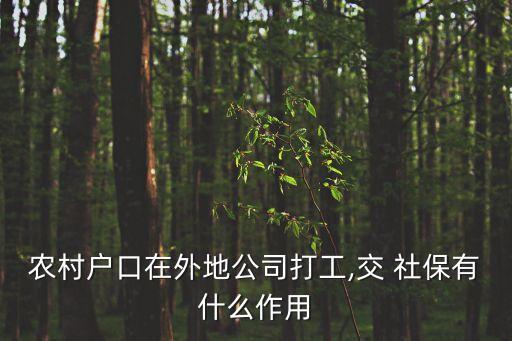 中国农业社保卡有什么用,社保卡可以当中国农业银行卡用吗