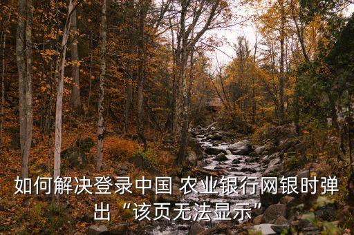 农业银行打不开网页怎么办,电脑打不开农业银行网页