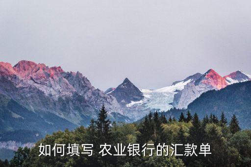 农业银行怎么填单子