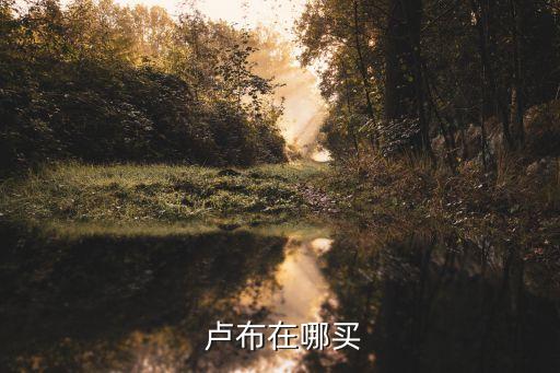农业银行怎么可以买卢布,怎么可以成为农业银行的vip