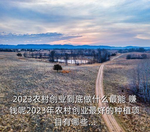 农业碳汇怎么赚钱最快