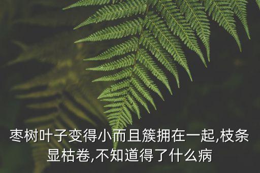 农业过敏怎么治疗,过敏哮喘怎么治疗