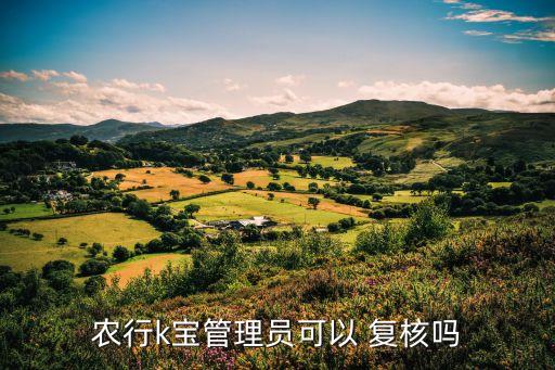 农业银行公司怎么复核