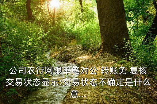农业银行转账怎么跳过复核