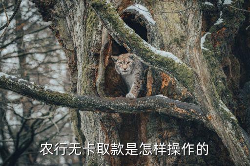 农业银行在上海怎么取钱,上海农业银行存折到外地能取吗