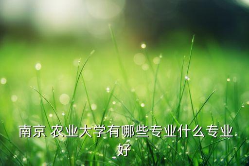 南京农业大学法学类怎么样