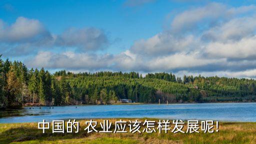 现代化农业怎么长期做,怎么实现农业农村现代化