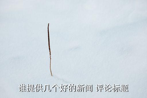 农业时政评论怎么写的好,时政评论怎么写高中生