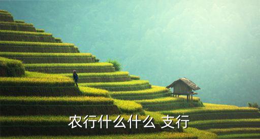 福州农业银行是什么支行,农业银行福州群众路支行