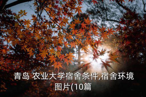 青岛农业大学小丑鱼怎么样,教学质量