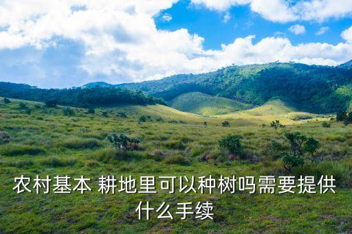 农业种植公司怎么审批耕地