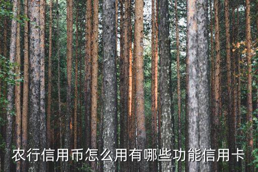 农业银行数字币怎么消费
