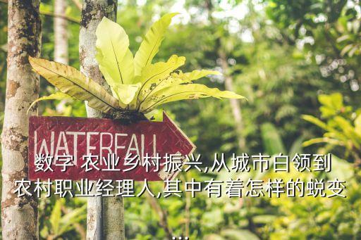 数字农业讲解词怎么写,如何定义数字农业