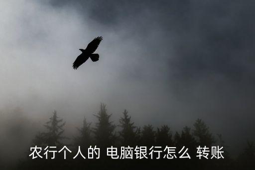 电脑上农业网银怎么转账,电脑登陆农业网银需要下载哪些