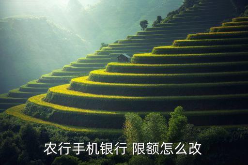 该死的农业限额怎么弄