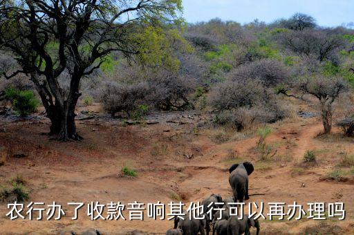 农业银行收银音箱怎么搞