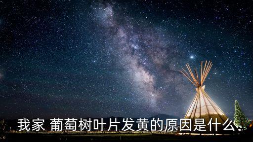 农业网葡萄黄叶怎么回事,葡萄膨大期有黄叶是怎么回事