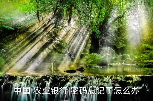 农业取款密码怎么修改,农业银行卡取款密码在哪里可以改
