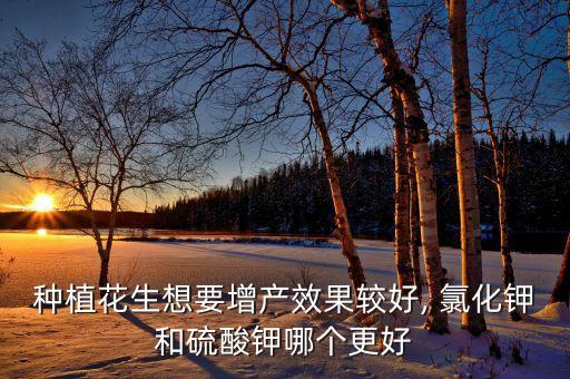 农业氯化钾是怎么生成的