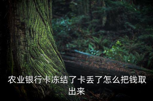 农业银行怎么把