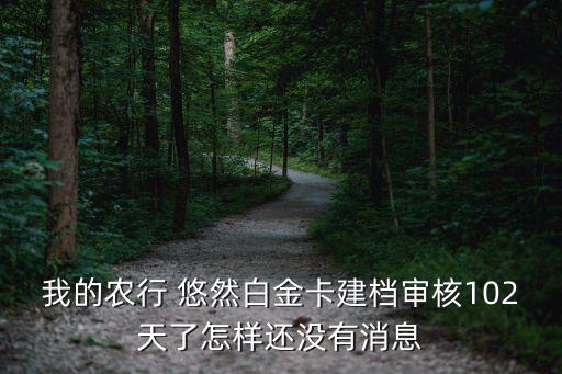 农业银行悠然白怎么办