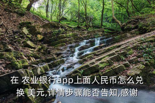 农业银行怎么开通美元账号