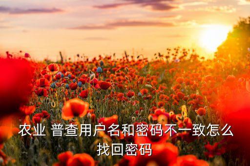 农业普查怎么快速输,求一篇农业普查的工作总结!