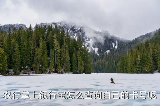 农业银行怎么登记卡号码,10108599是农业银行号码吗