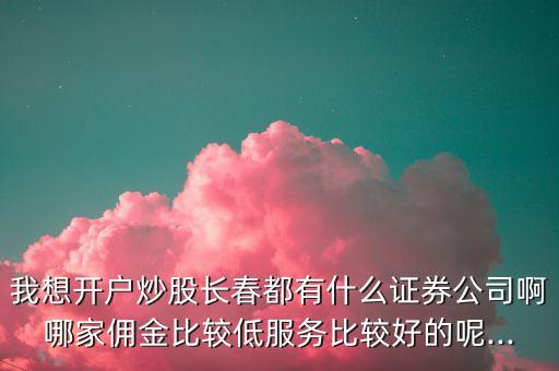 农业银行卖什么券商