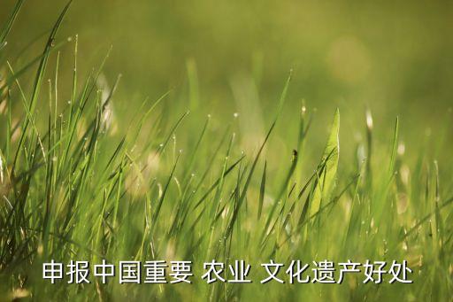 农业文化的价值表达是什么,中国新增3项农业文化是什么