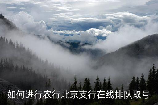 农业银行怎么取w号