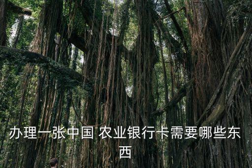 农业银行确认单是什么