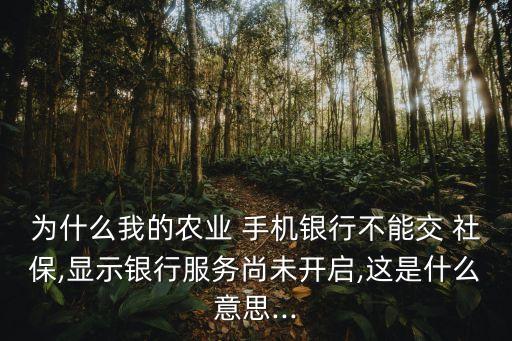 农业银行手机社保怎么交,在农业银行交社保怎么交不上